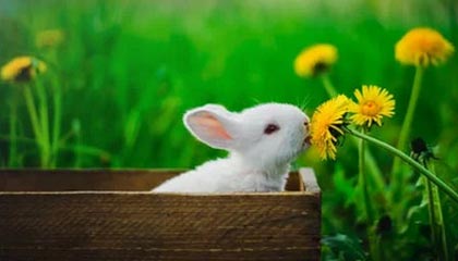 2023今晚上澳门特马