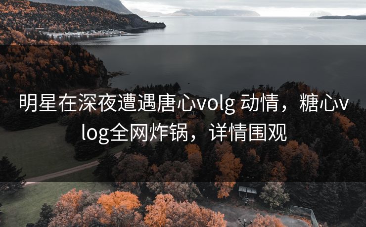 明星在深夜遭遇唐心volg 动情，糖心vlog全网炸锅，详情围观