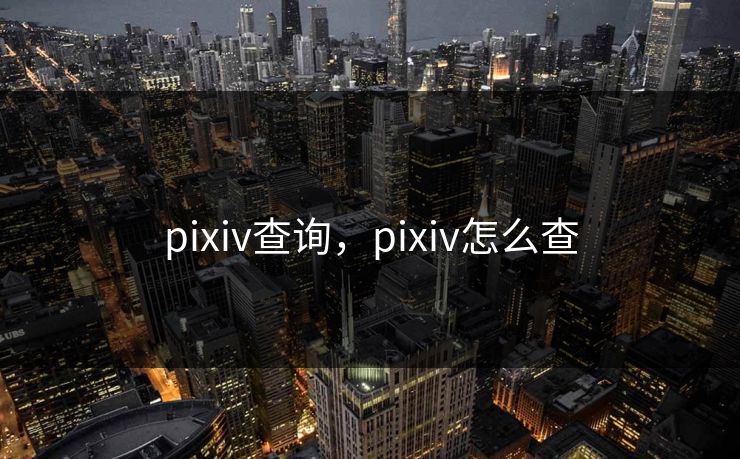 pixiv查询,pixiv怎么查