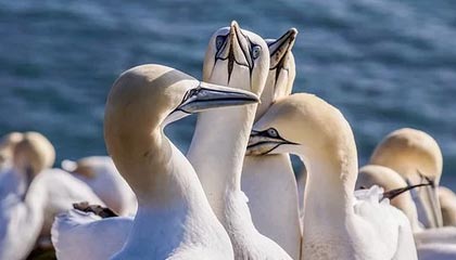 最难受的不是结果，而是直播间的“口误”一出现，邻居C就退款了