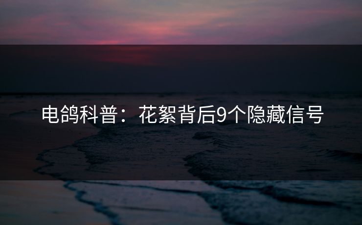 电鸽科普：花絮背后9个隐藏信号