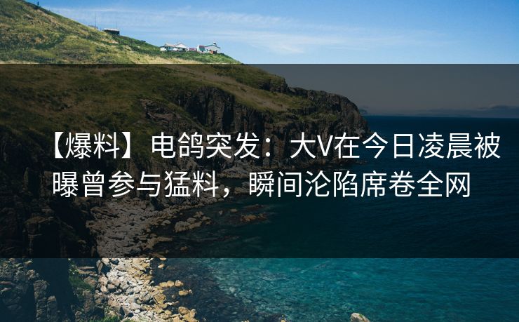 【爆料】电鸽突发：大V在今日凌晨被曝曾参与猛料，瞬间沦陷席卷全网