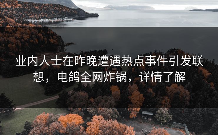 业内人士在昨晚遭遇热点事件引发联想，电鸽全网炸锅，详情了解