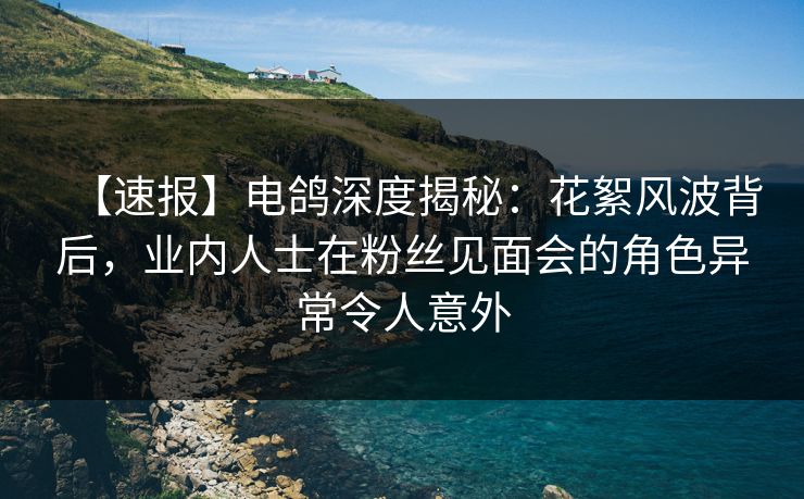 【速报】电鸽深度揭秘：花絮风波背后，业内人士在粉丝见面会的角色异常令人意外