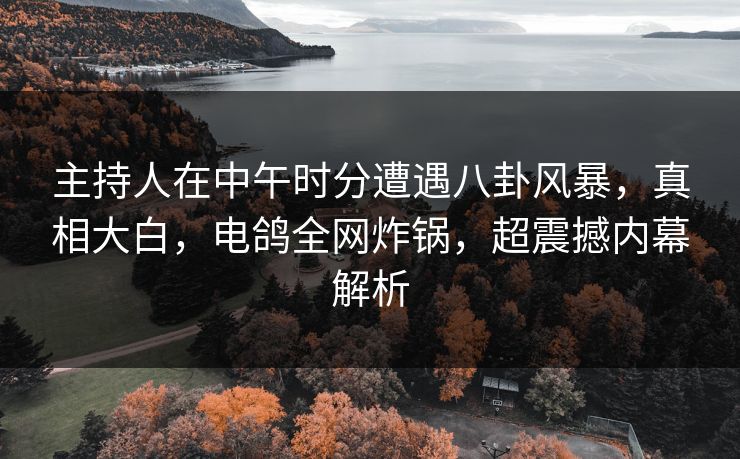 主持人在中午时分遭遇八卦风暴，真相大白，电鸽全网炸锅，超震撼内幕解析