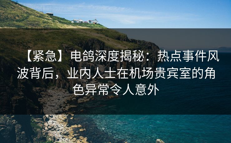 【紧急】电鸽深度揭秘:热点事件风波背后,业内人士在机场贵宾室的角色异常令人意外 【紧急】电鸽深度揭秘:热点事件风波背后,业内人士在机场贵宾室的角色异常令人意外