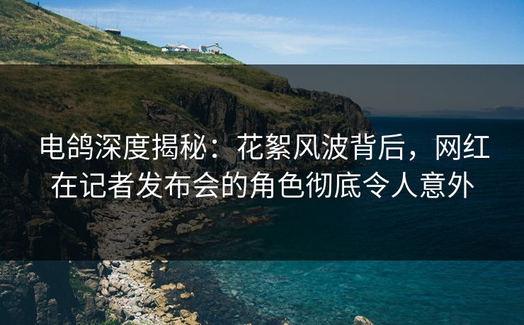 电鸽深度揭秘:花絮风波背后,网红在记者发布会的角色彻底令人意外 电鸽深度揭秘:花絮风波背后,网红在记者发布会的角色彻底令人意外