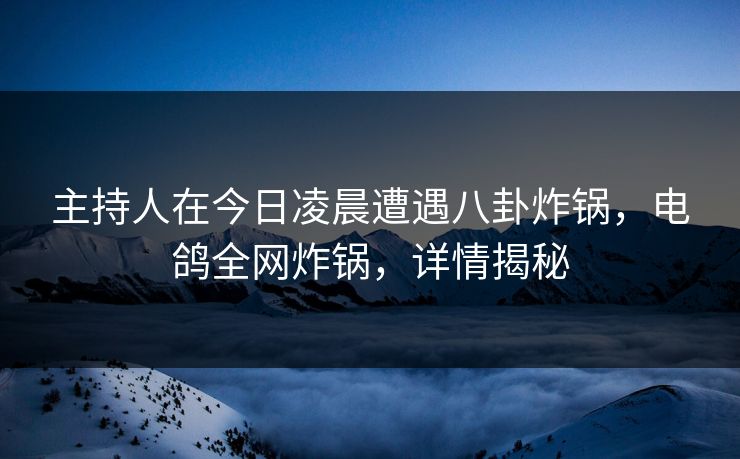 主持人在今日凌晨遭遇八卦炸锅，电鸽全网炸锅，详情揭秘