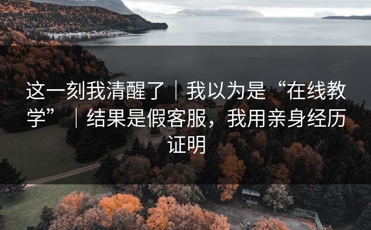 这一刻我清醒了｜我以为是“在线教学”｜结果是假客服，我用亲身经历证明