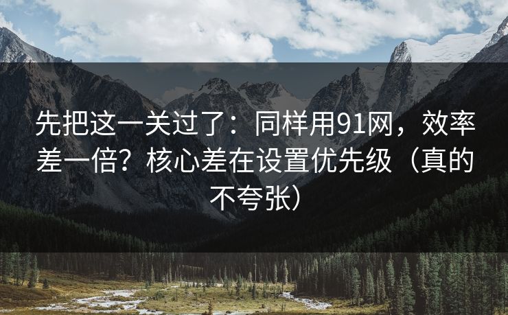 先把这一关过了：同样用91网，效率差一倍？核心差在设置优先级（真的不夸张）